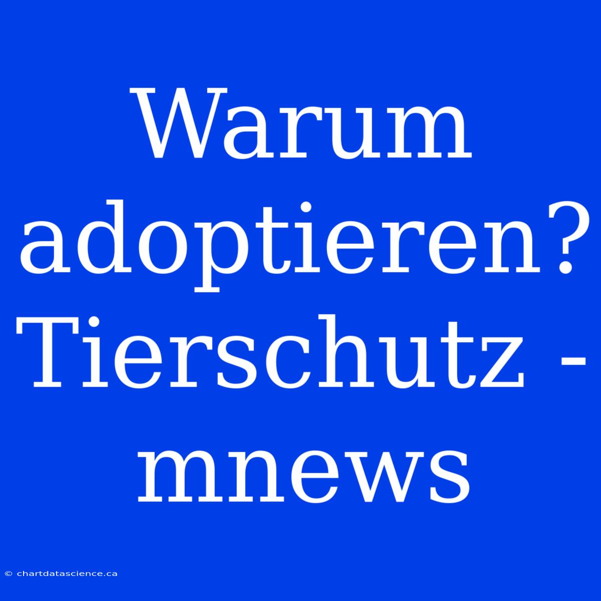 Warum Adoptieren? Tierschutz - Mnews