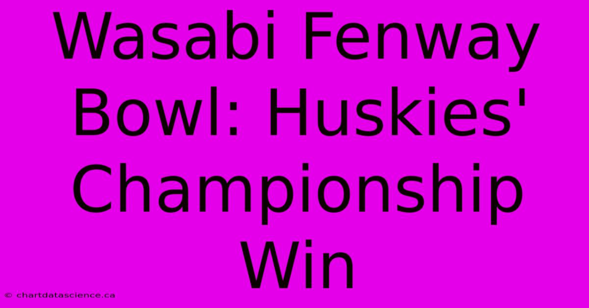 Wasabi Fenway Bowl: Huskies' Championship Win