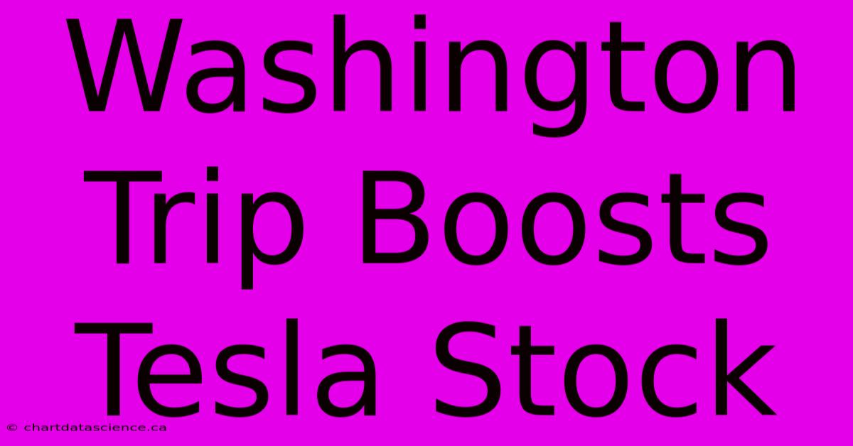 Washington Trip Boosts Tesla Stock