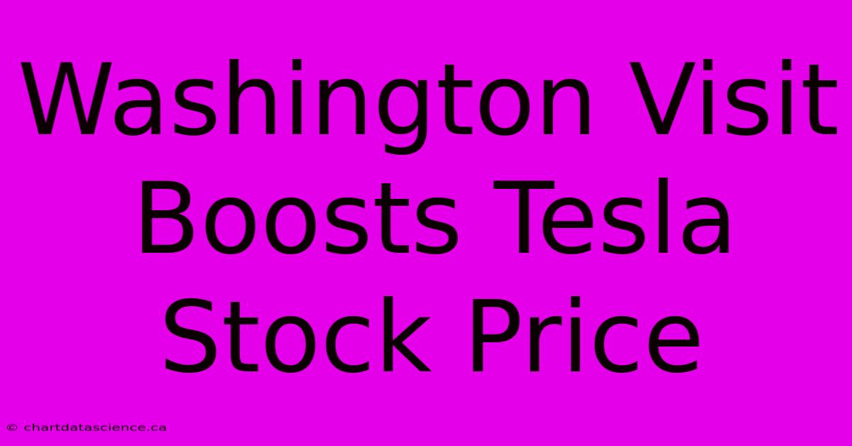 Washington Visit Boosts Tesla Stock Price