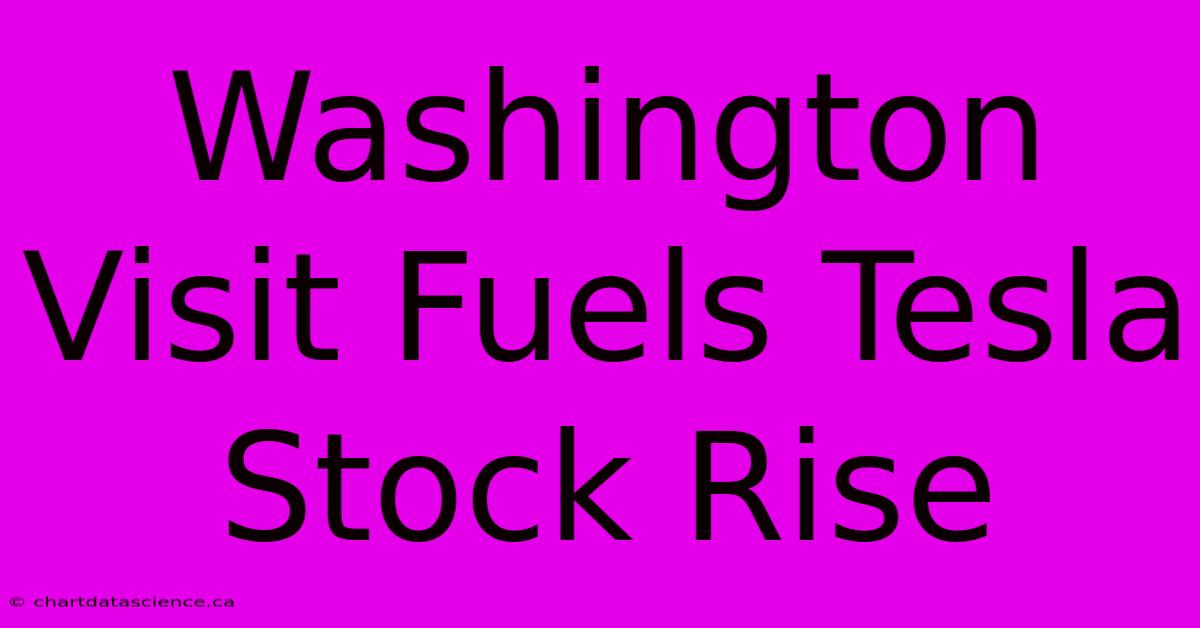 Washington Visit Fuels Tesla Stock Rise