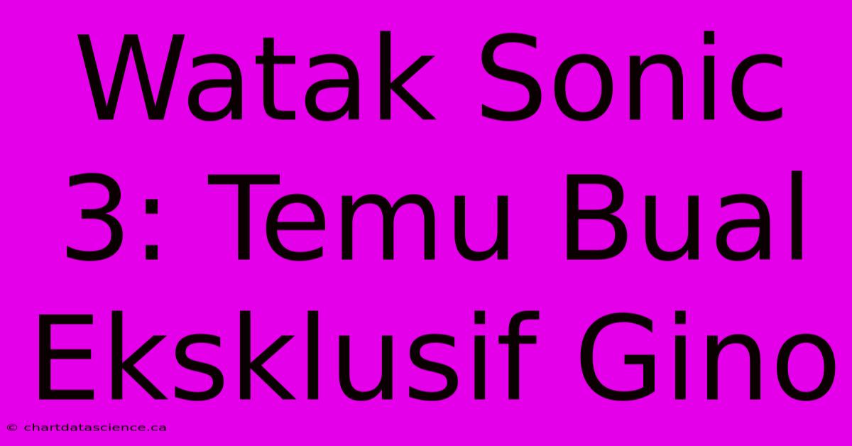 Watak Sonic 3: Temu Bual Eksklusif Gino