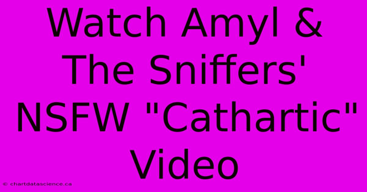 Watch Amyl & The Sniffers' NSFW 