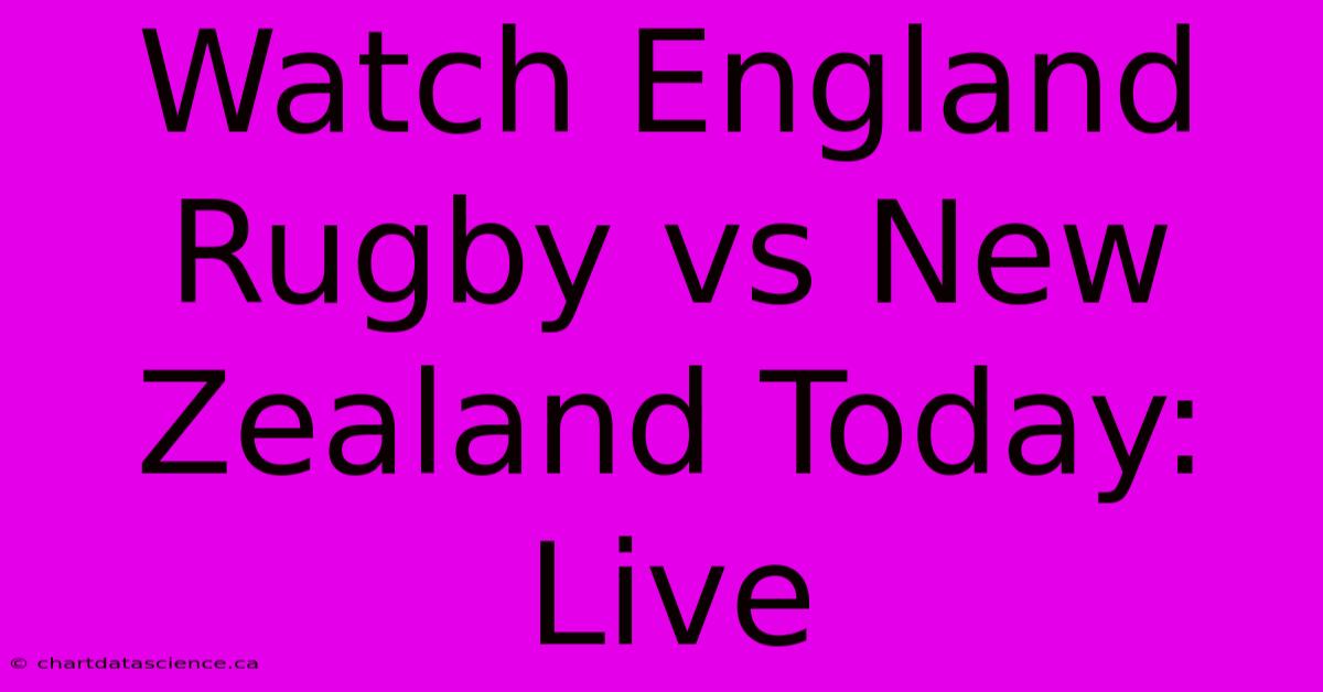 Watch England Rugby Vs New Zealand Today: Live