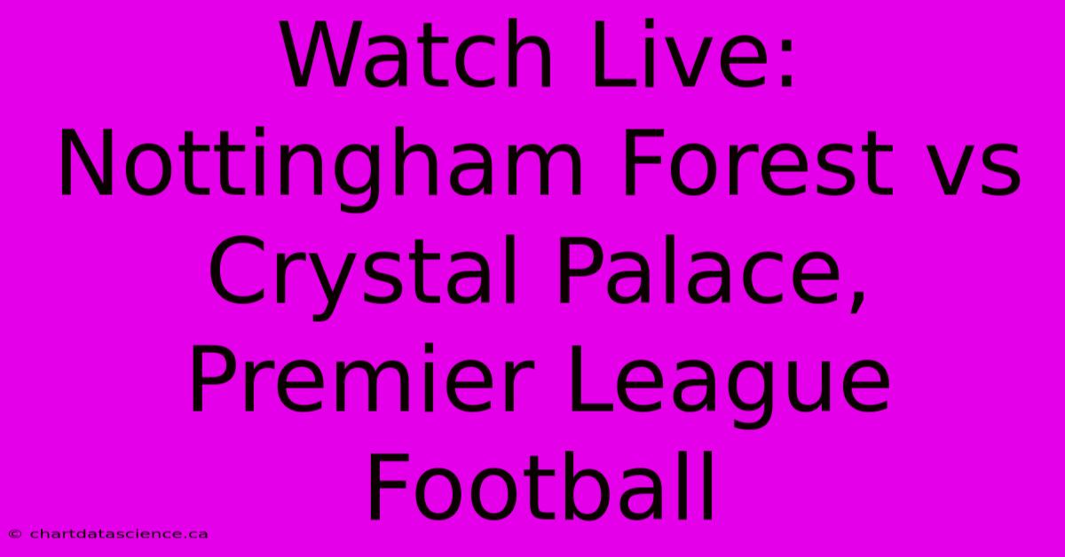 Watch Live: Nottingham Forest Vs Crystal Palace, Premier League Football