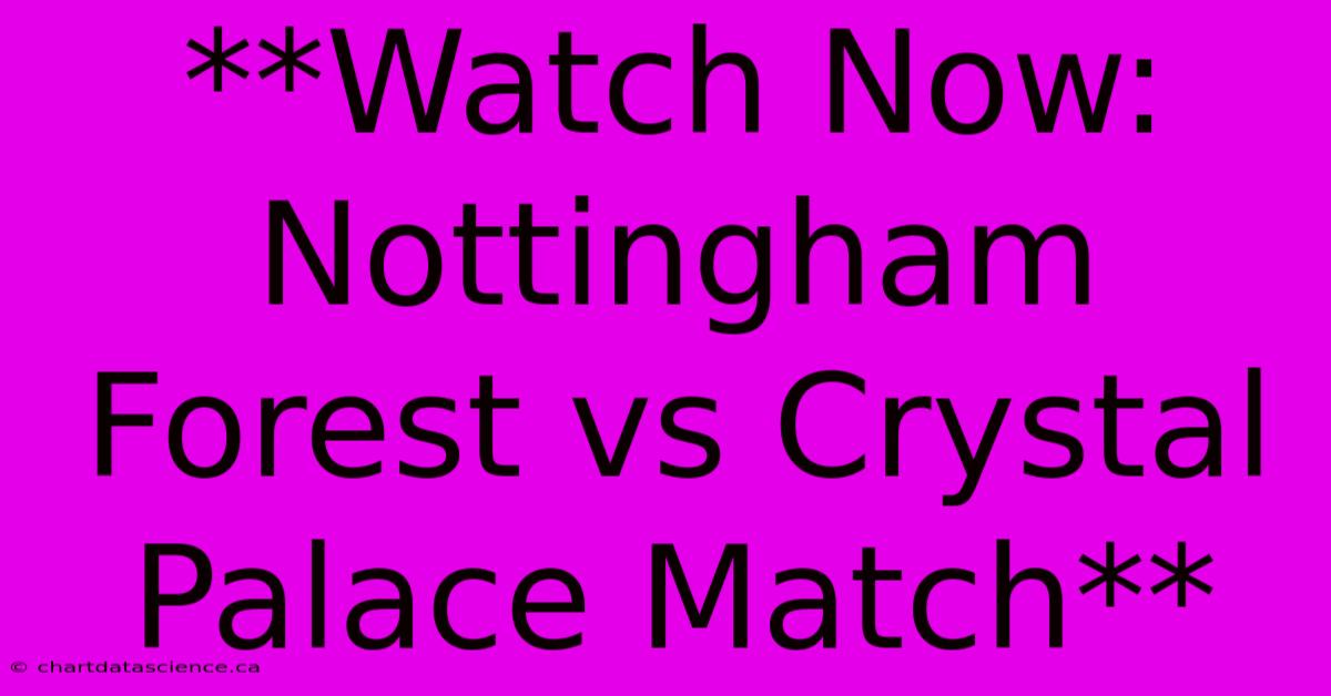 **Watch Now: Nottingham Forest Vs Crystal Palace Match**