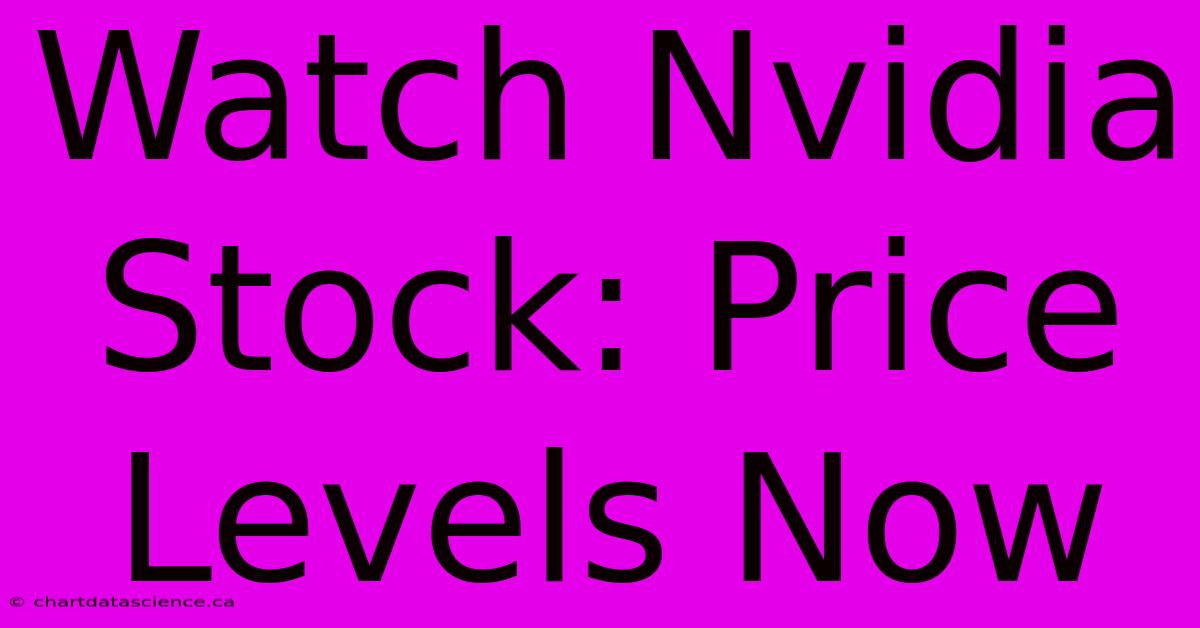 Watch Nvidia Stock: Price Levels Now