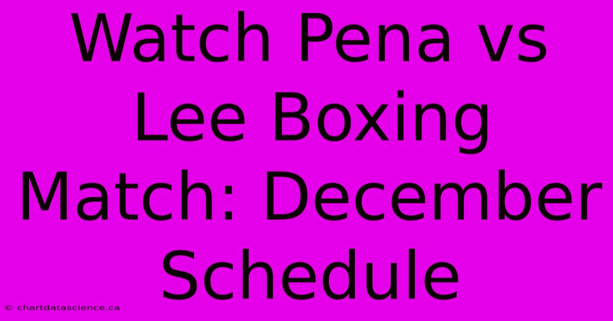 Watch Pena Vs Lee Boxing Match: December Schedule