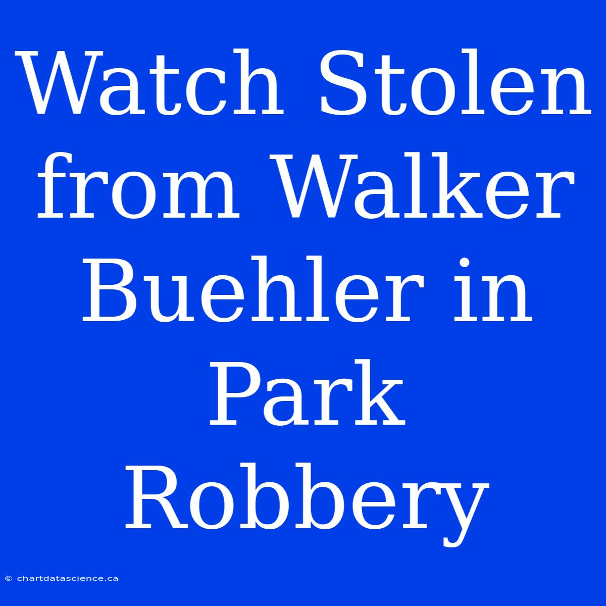 Watch Stolen From Walker Buehler In Park Robbery