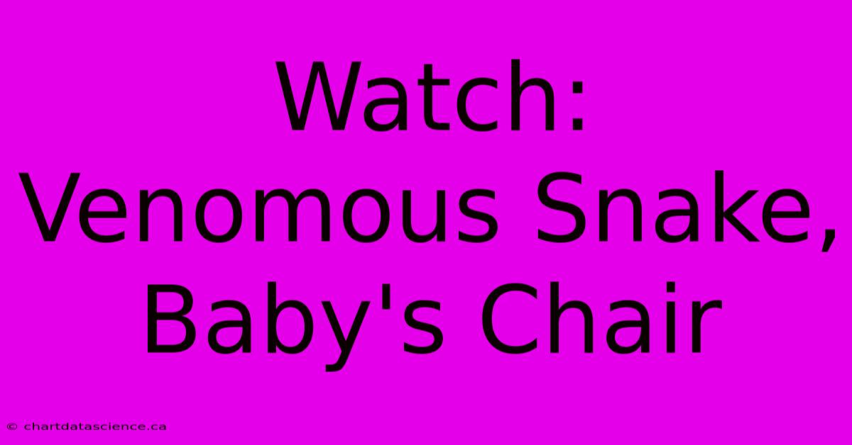 Watch: Venomous Snake, Baby's Chair