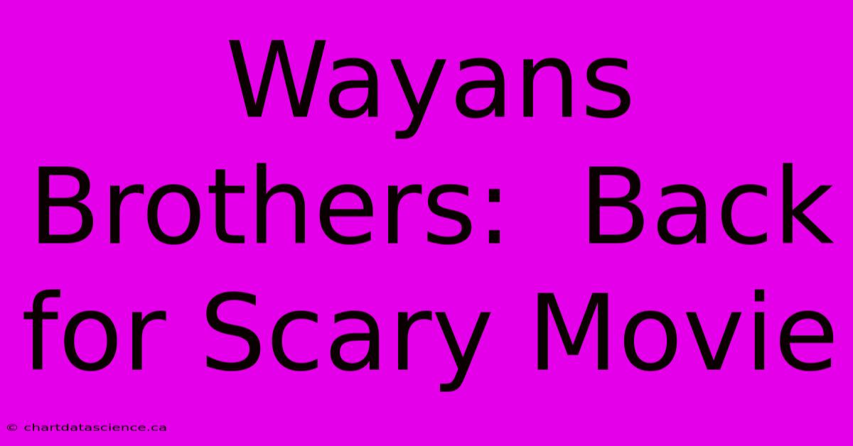 Wayans Brothers:  Back For Scary Movie 