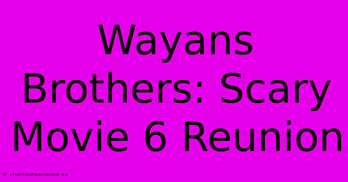 Wayans Brothers: Scary Movie 6 Reunion 