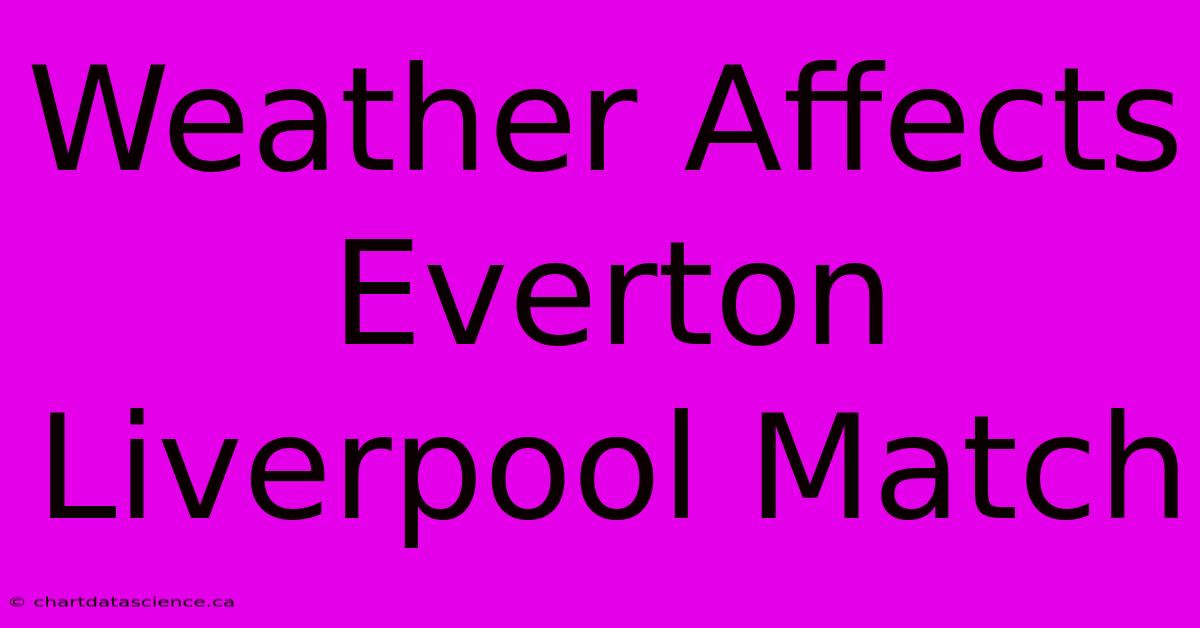 Weather Affects Everton Liverpool Match