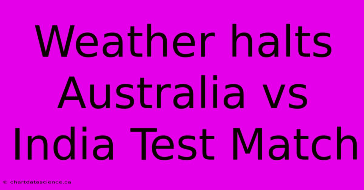 Weather Halts Australia Vs India Test Match