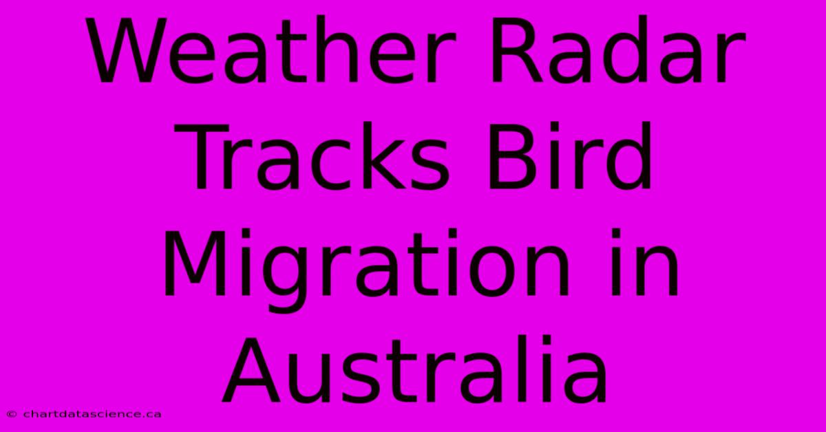 Weather Radar Tracks Bird Migration In Australia