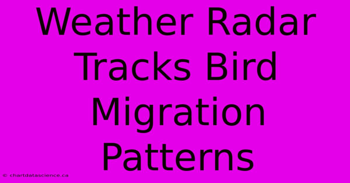 Weather Radar Tracks Bird Migration Patterns