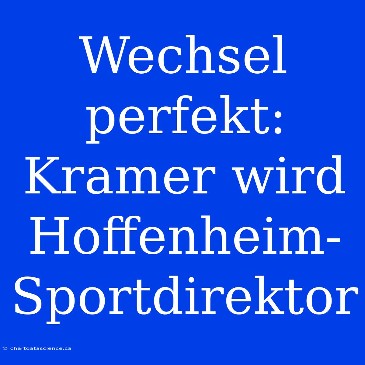 Wechsel Perfekt: Kramer Wird Hoffenheim-Sportdirektor