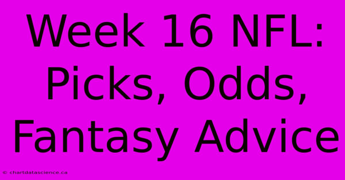 Week 16 NFL:  Picks, Odds, Fantasy Advice