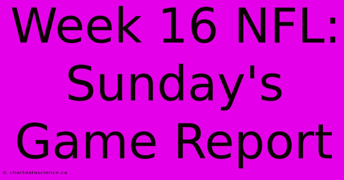 Week 16 NFL: Sunday's Game Report