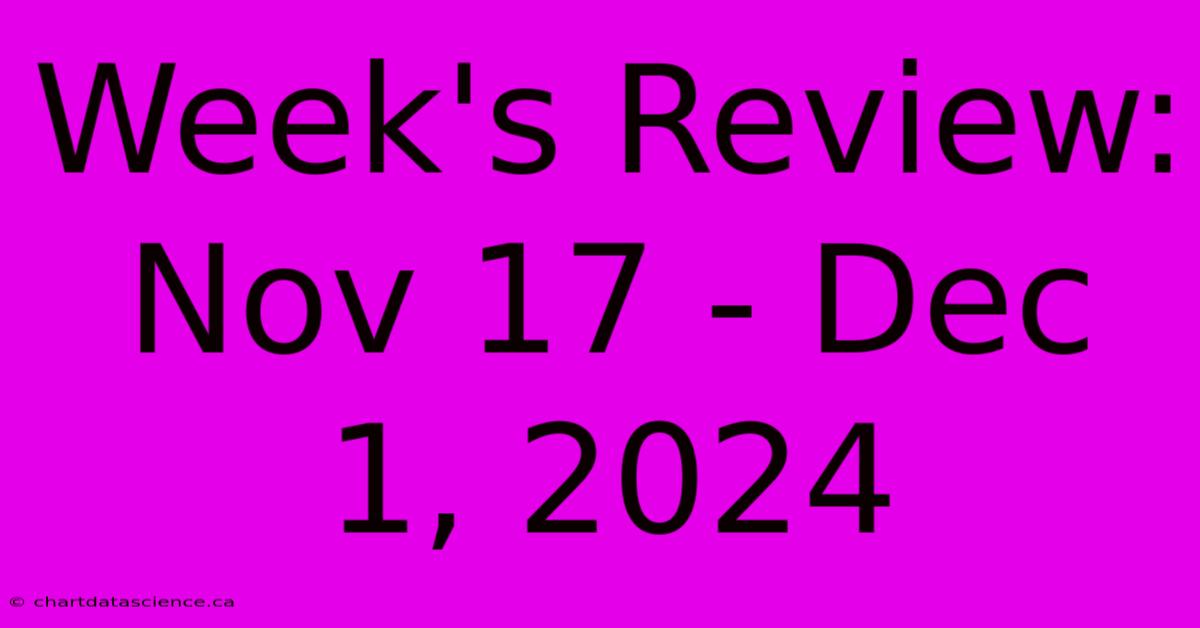 Week's Review: Nov 17 - Dec 1, 2024