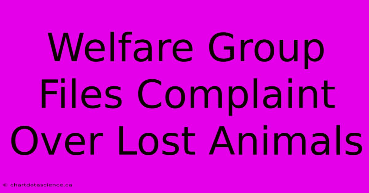 Welfare Group Files Complaint Over Lost Animals 