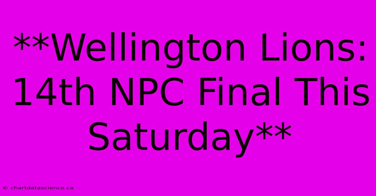 **Wellington Lions: 14th NPC Final This Saturday**