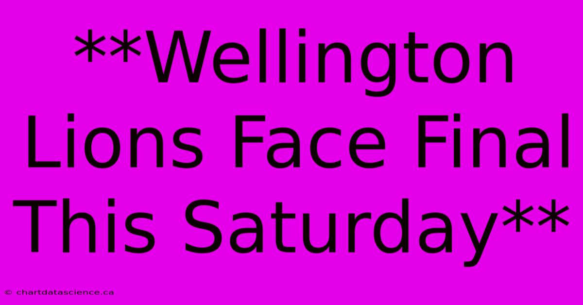 **Wellington Lions Face Final This Saturday**