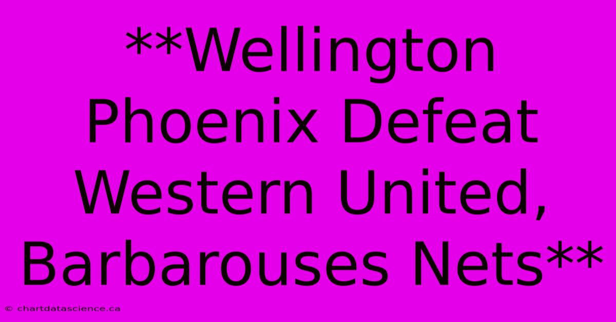 **Wellington Phoenix Defeat Western United, Barbarouses Nets** 