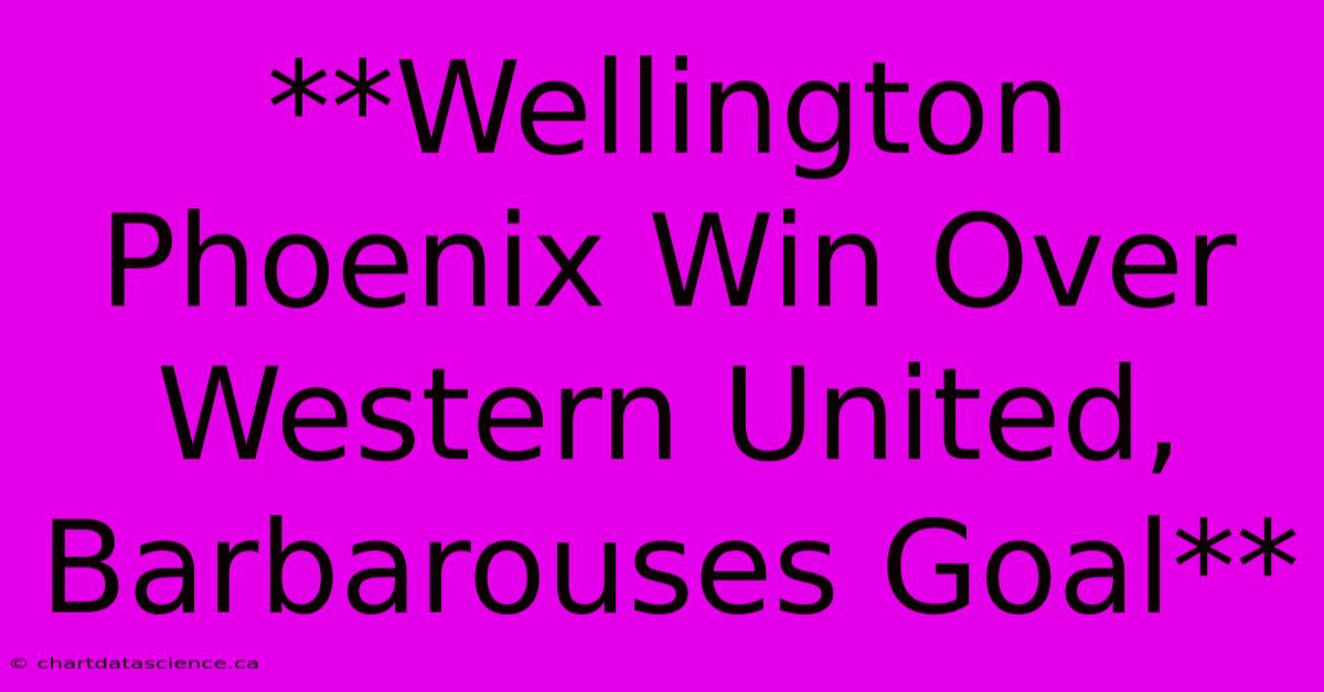 **Wellington Phoenix Win Over Western United, Barbarouses Goal**