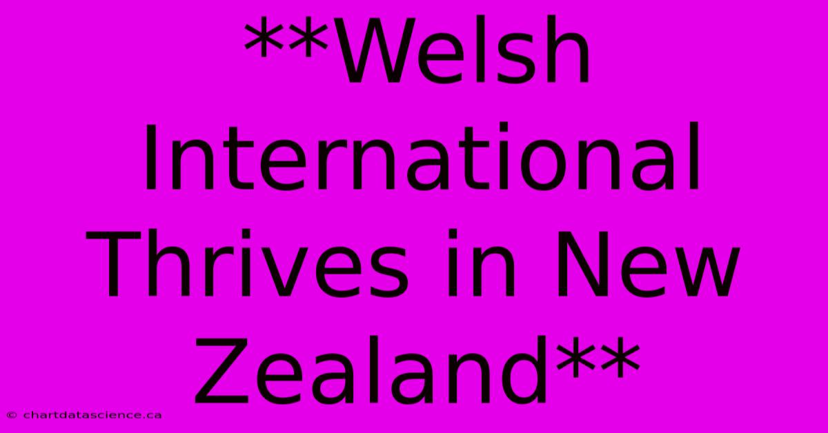 **Welsh International Thrives In New Zealand**