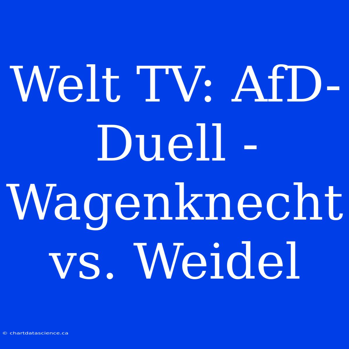 Welt TV: AfD-Duell - Wagenknecht Vs. Weidel