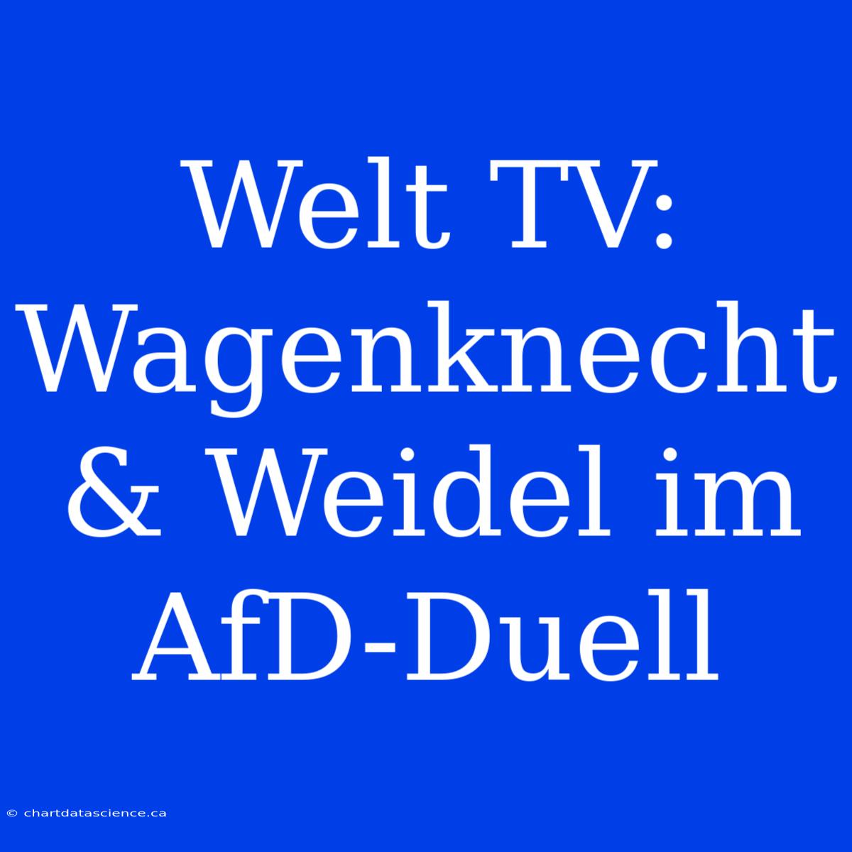 Welt TV: Wagenknecht & Weidel Im AfD-Duell