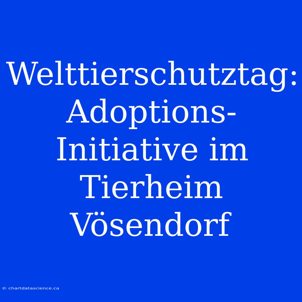 Welttierschutztag: Adoptions-Initiative Im Tierheim Vösendorf