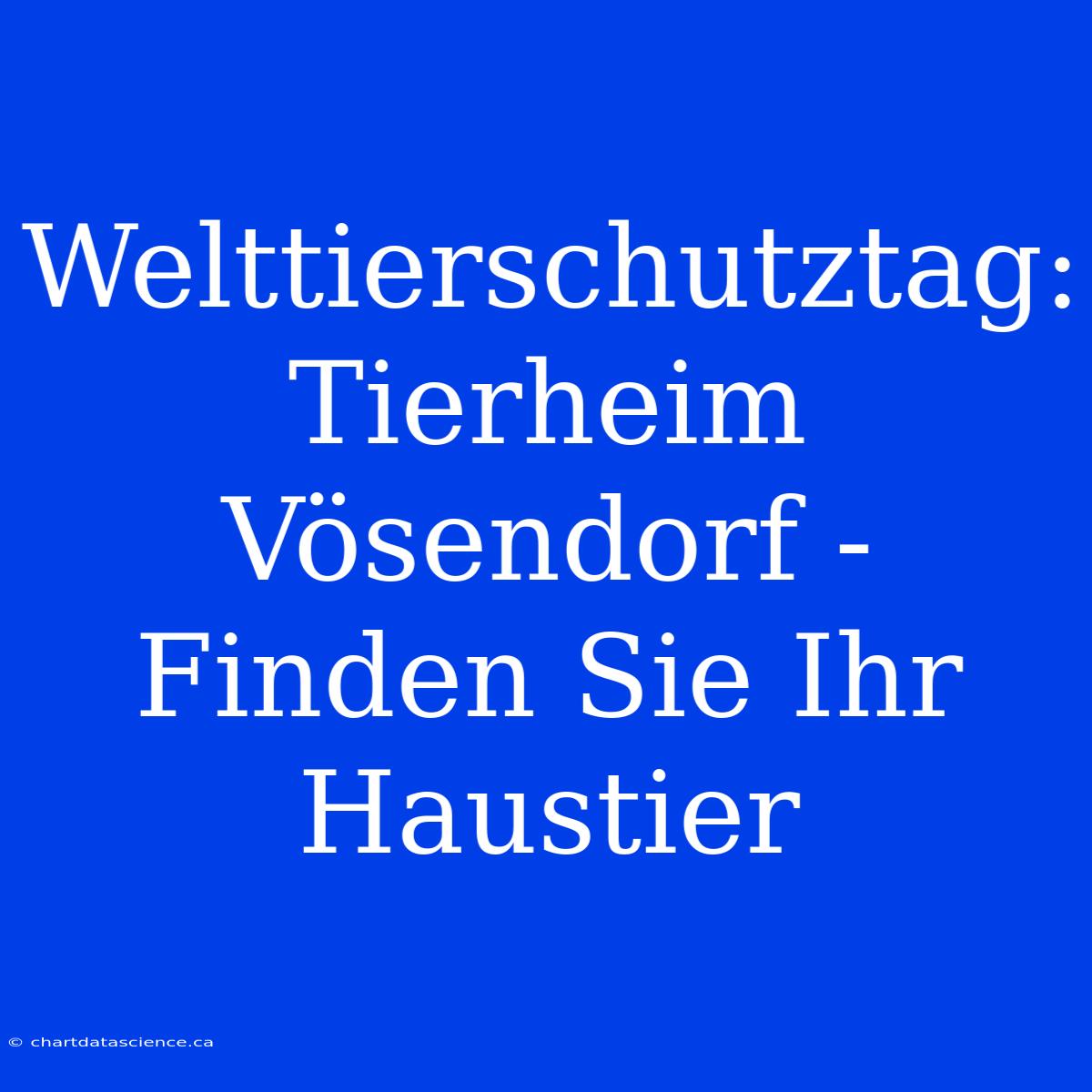 Welttierschutztag: Tierheim Vösendorf - Finden Sie Ihr Haustier