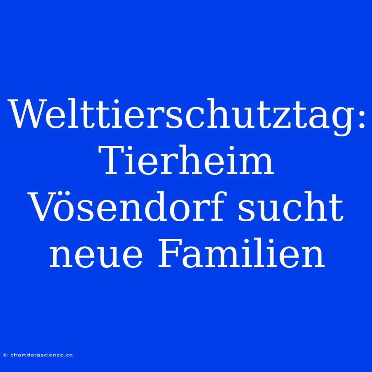 Welttierschutztag: Tierheim Vösendorf Sucht Neue Familien