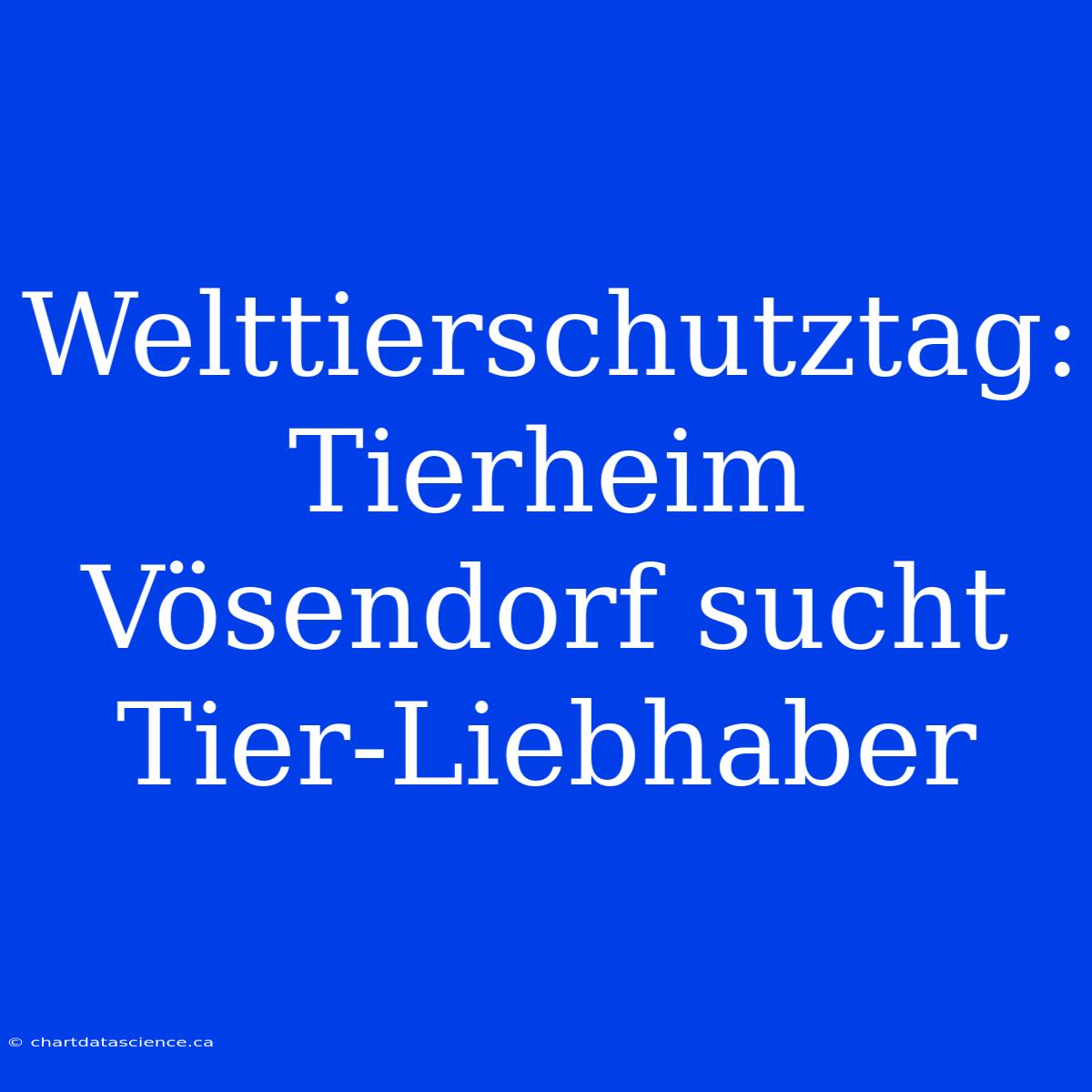 Welttierschutztag: Tierheim Vösendorf Sucht Tier-Liebhaber