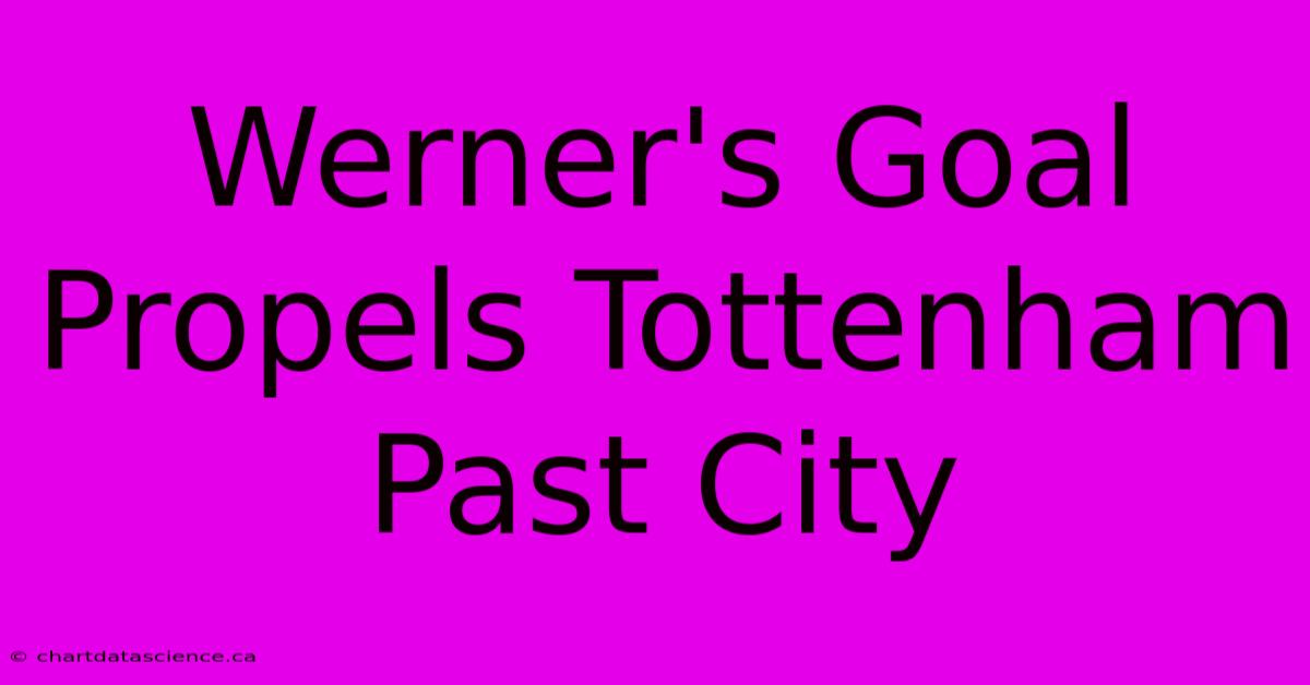 Werner's Goal Propels Tottenham Past City