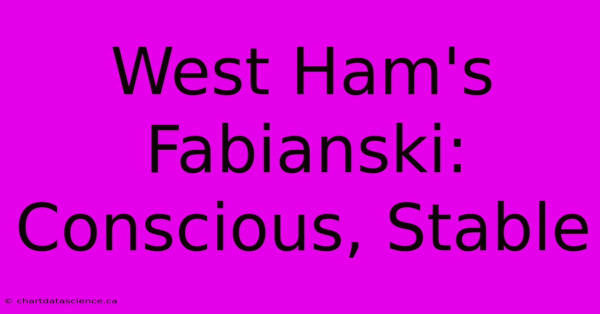 West Ham's Fabianski: Conscious, Stable