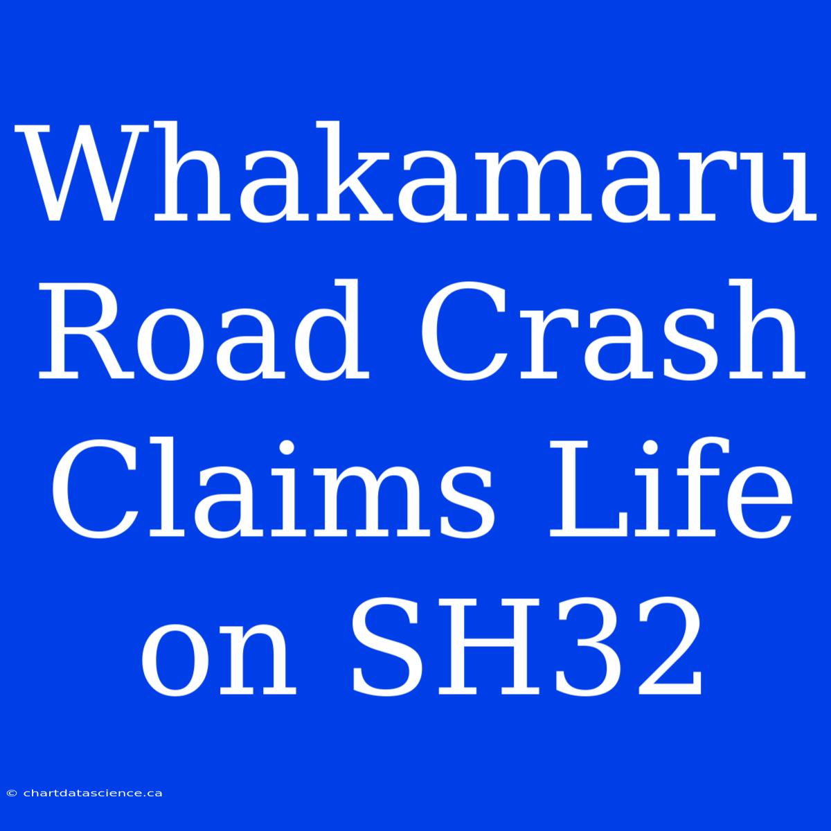 Whakamaru Road Crash Claims Life On SH32