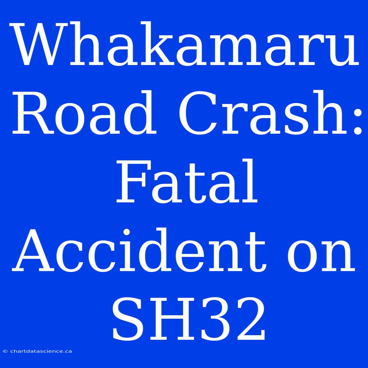 Whakamaru Road Crash: Fatal Accident On SH32