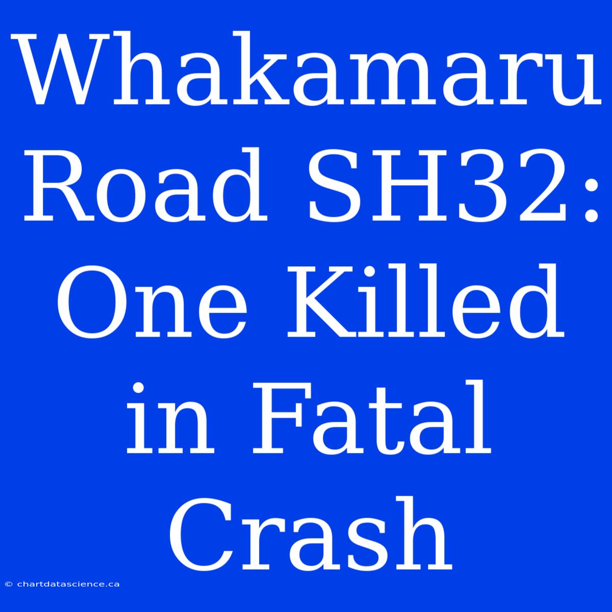 Whakamaru Road SH32: One Killed In Fatal Crash