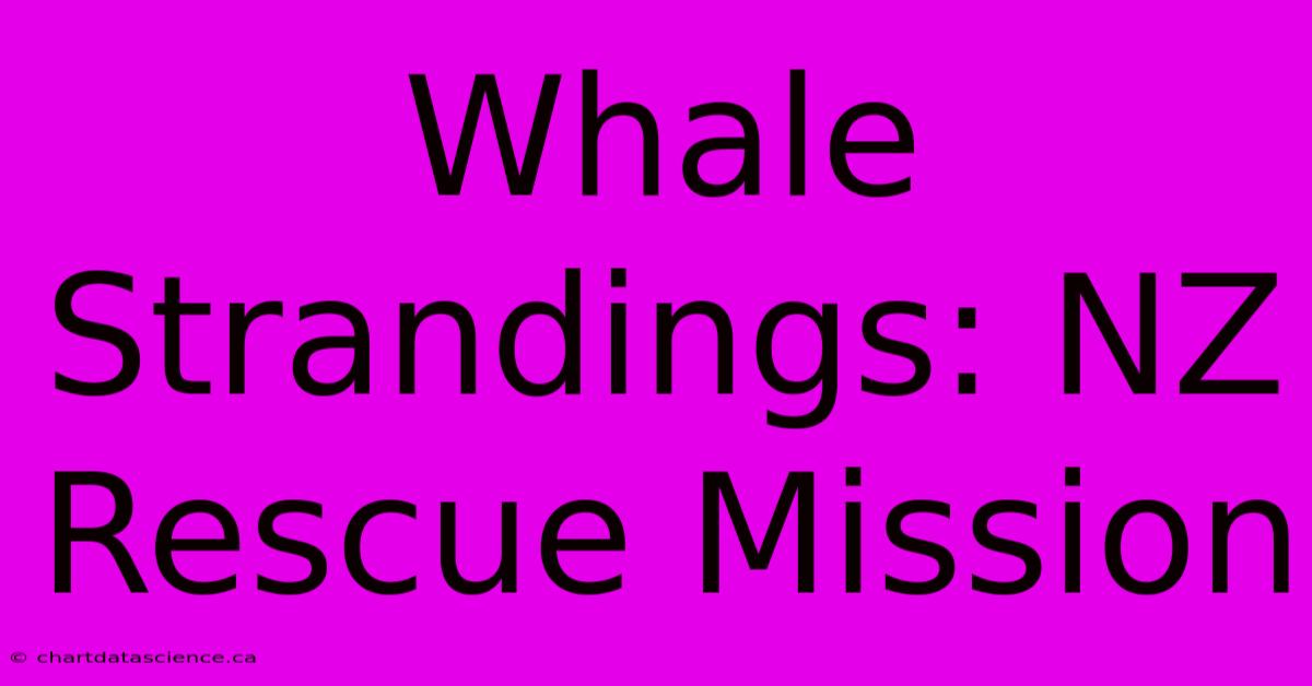 Whale Strandings: NZ Rescue Mission