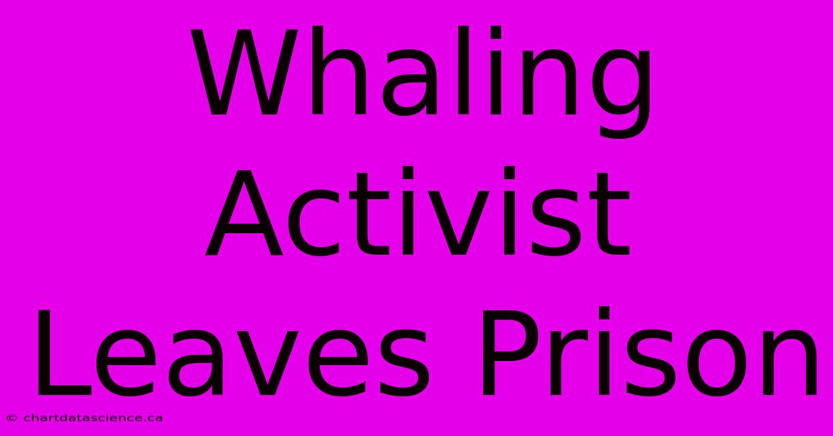 Whaling Activist Leaves Prison