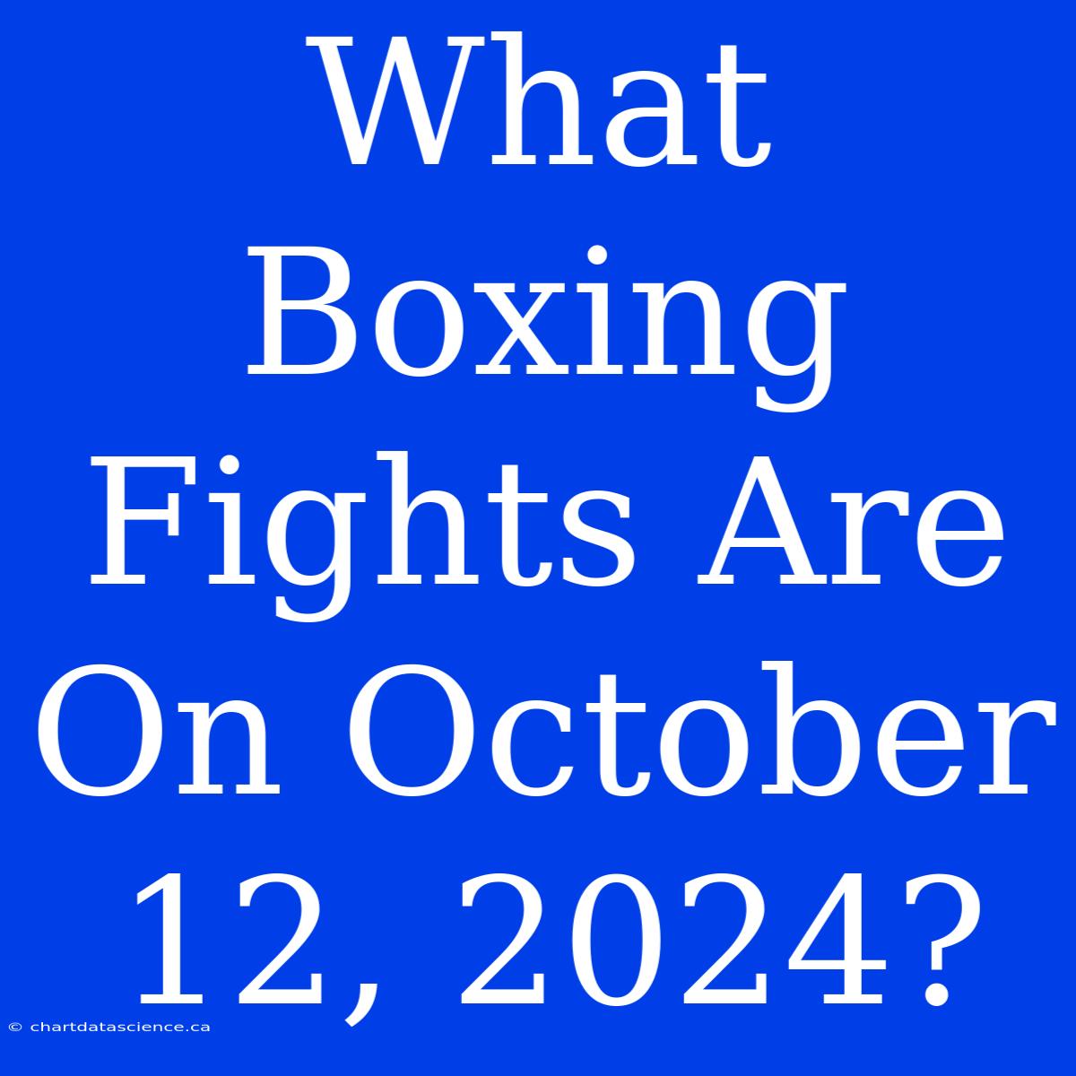 What Boxing Fights Are On October 12, 2024?