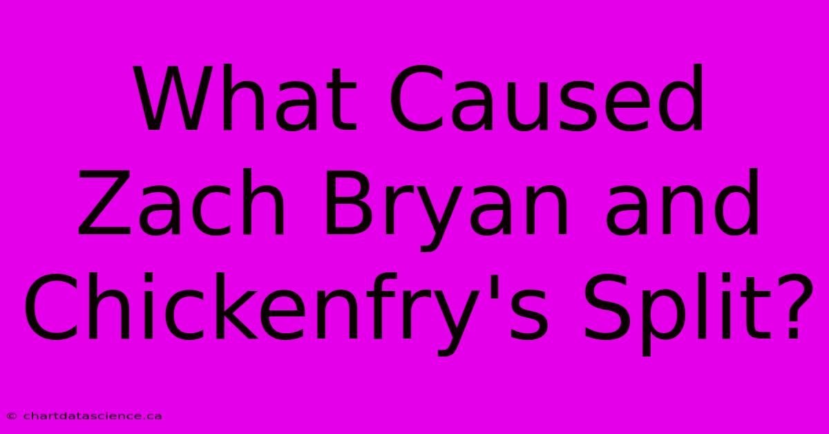 What Caused Zach Bryan And Chickenfry's Split?