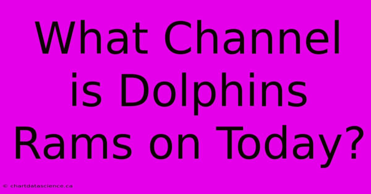 What Channel Is Dolphins Rams On Today?  