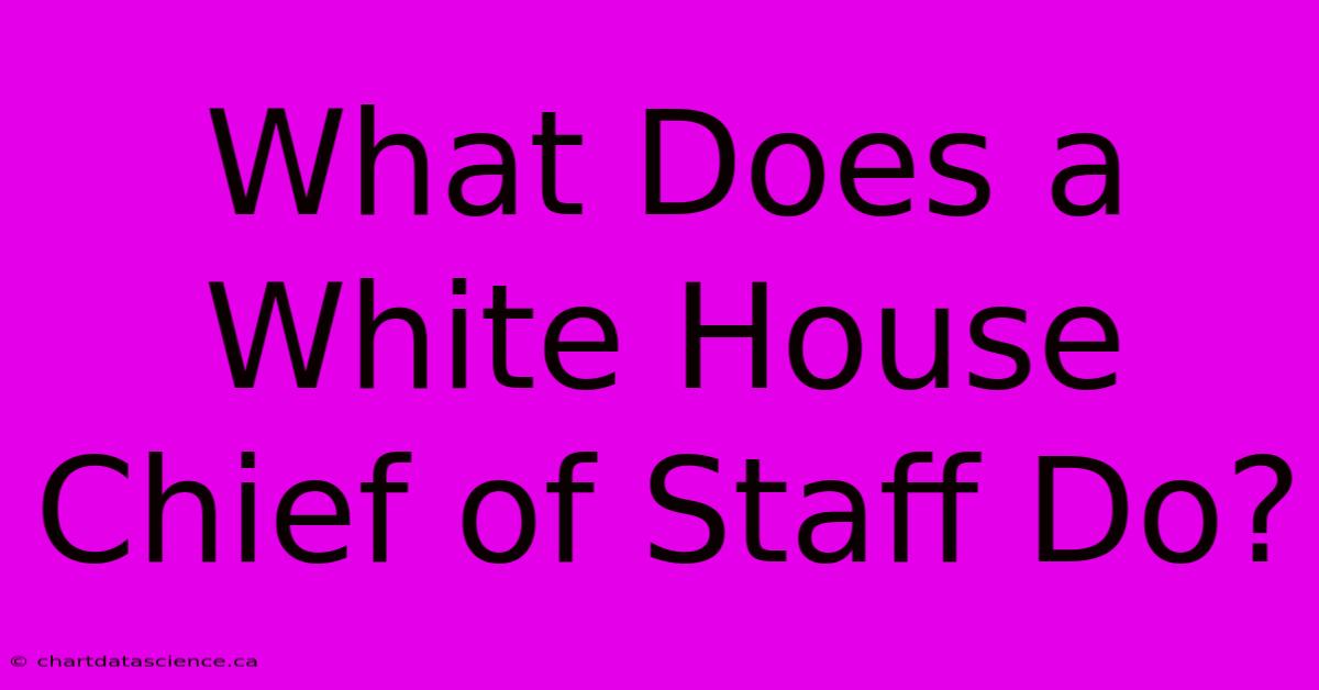 What Does A White House Chief Of Staff Do?