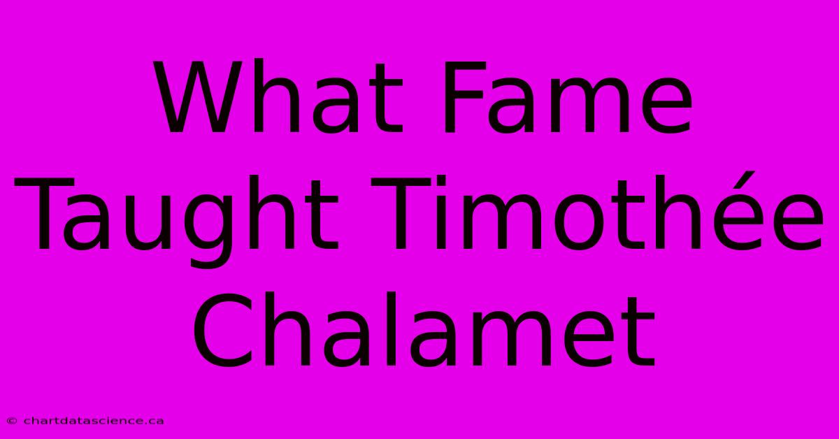 What Fame Taught Timothée Chalamet