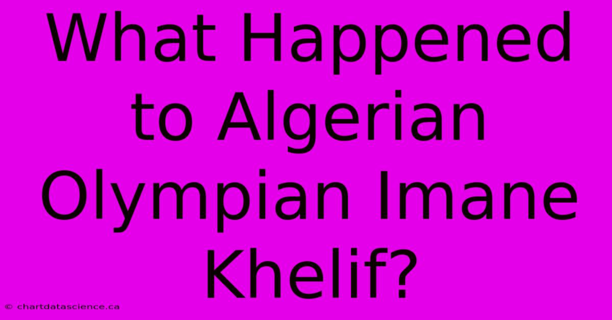 What Happened To Algerian Olympian Imane Khelif?