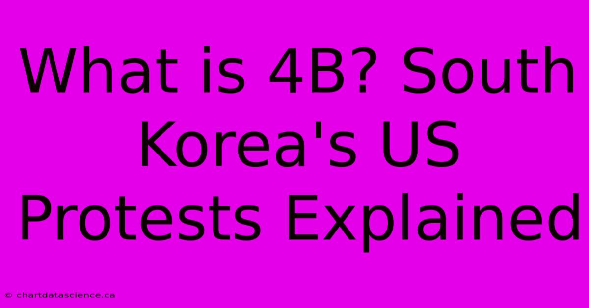 What Is 4B? South Korea's US Protests Explained